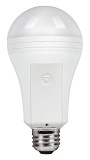 EVERBRIGHT