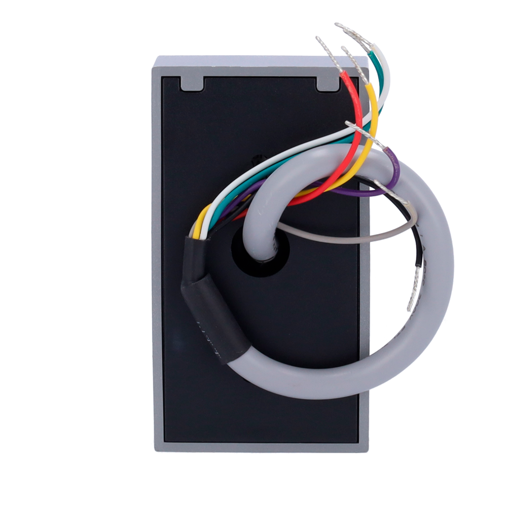ZK-PROID10-B-WG-2