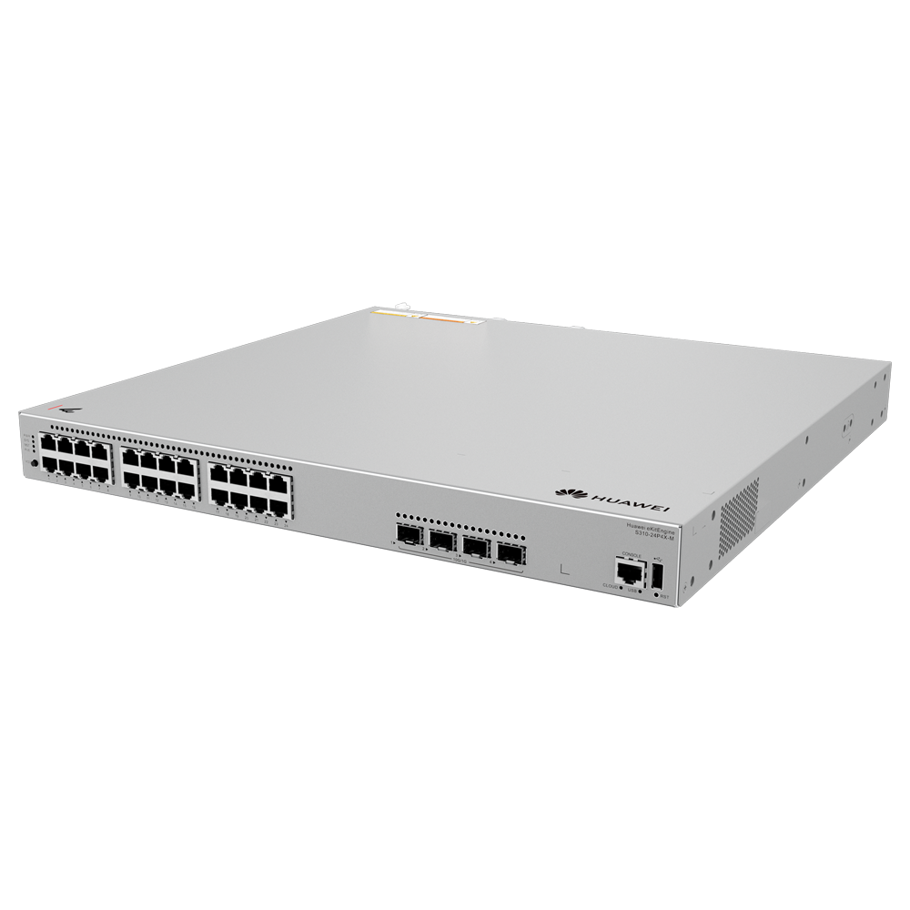 HW-S310-24P4X-M