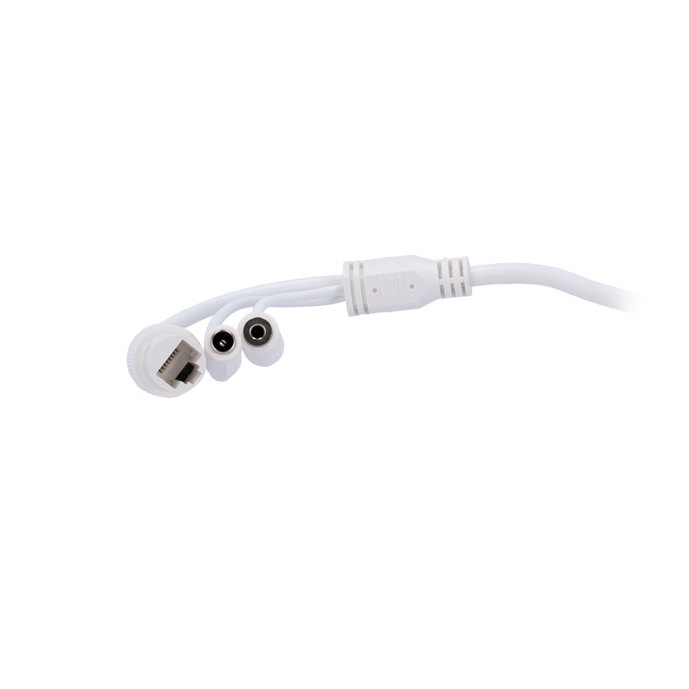 SF-IPT020A-8B1-DL