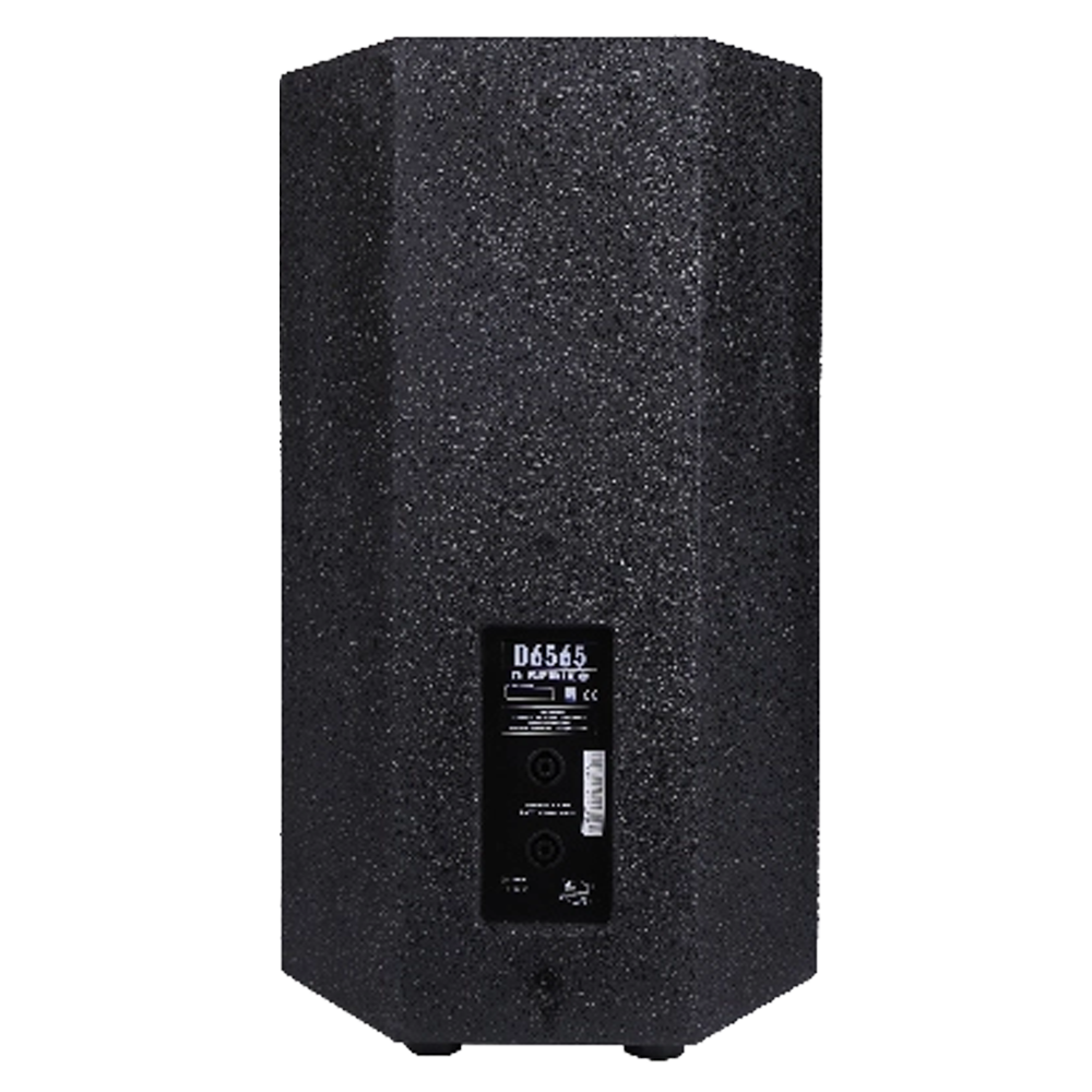DSPPA-D6565