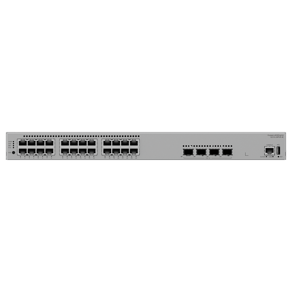 HW-S310-24P4X-M