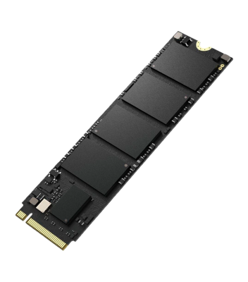 HS-SSD-E1000-512G